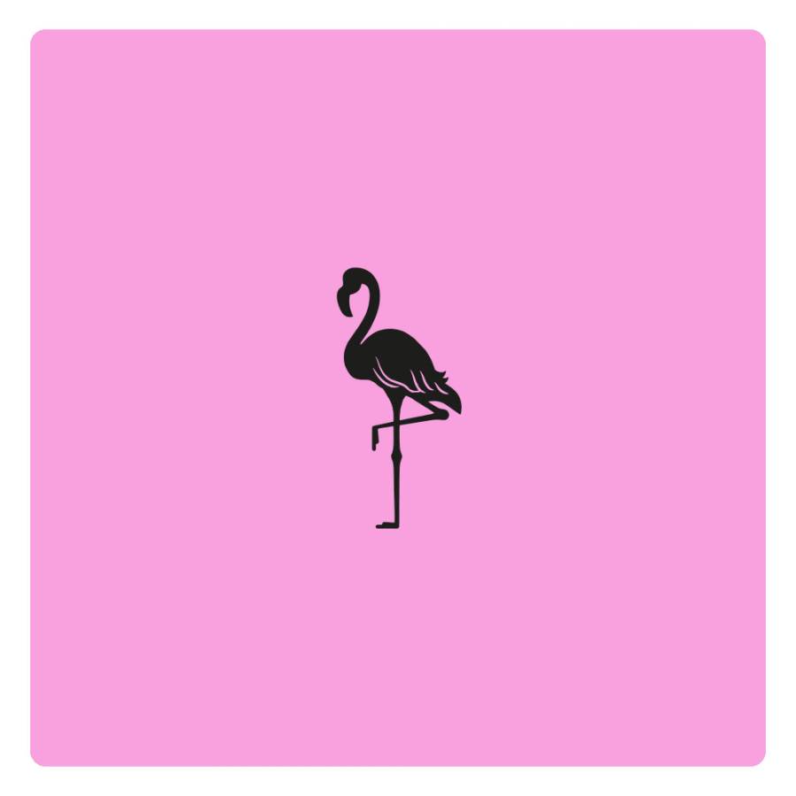Abdruck Flamingo Abdruck Flamingo